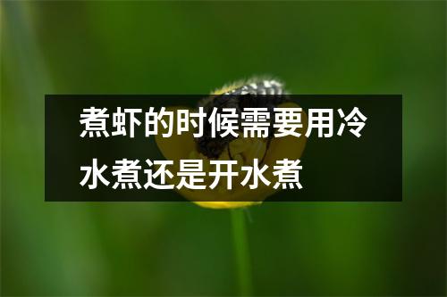 煮虾的时候需要用冷水煮还是开水煮