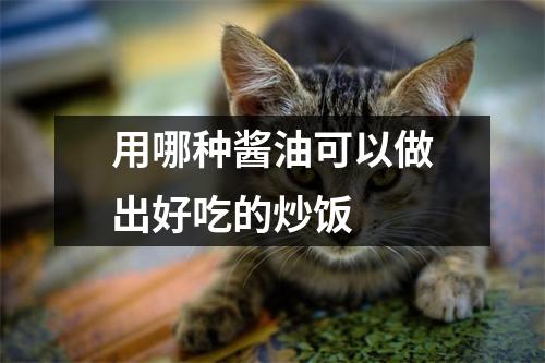 用哪种酱油可以做出好吃的炒饭 