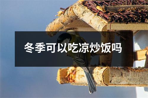 冬季可以吃凉炒饭吗