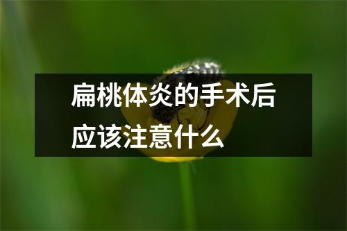 扁桃体炎的手术后应该注意什么