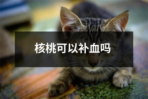 核桃可以补血吗