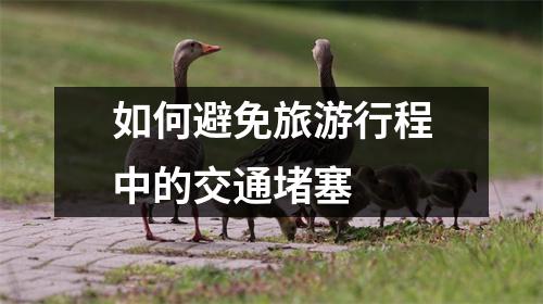 如何避免旅游行程中的交通堵塞