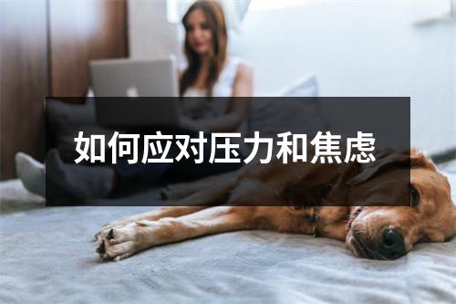 如何应对压力和焦虑