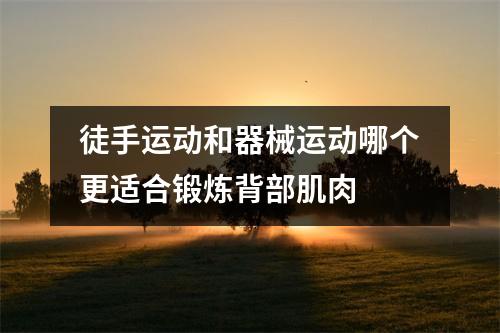 徒手运动和器械运动哪个更适合锻炼背部肌肉