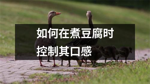 如何在煮豆腐时控制其口感