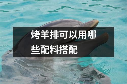 烤羊排可以用哪些配料搭配 