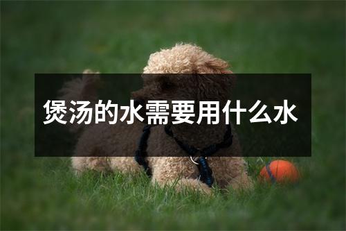 煲汤的水需要用什么水 