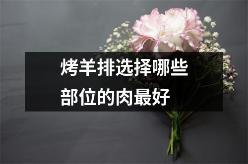 烤羊排选择哪些部位的肉最好 