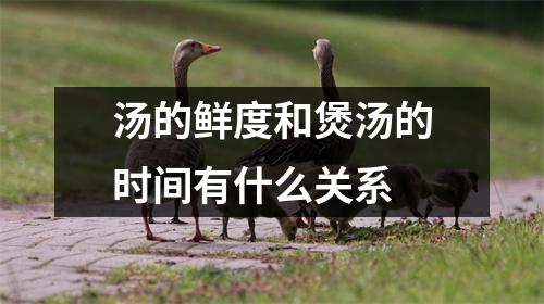 汤的鲜度和煲汤的时间有什么关系 