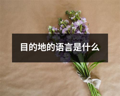 目的地的语言是什么 
