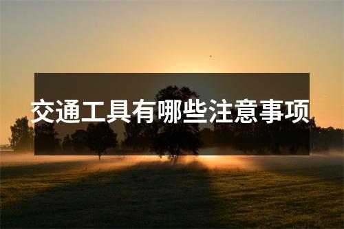 交通工具有哪些注意事项