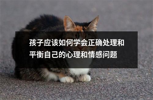 孩子应该如何学会正确处理和平衡自己的心理和情感问题 