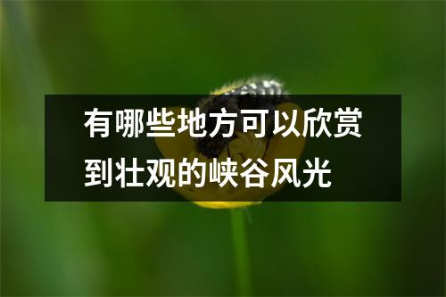 有哪些地方可以欣赏到壮观的峡谷风光 