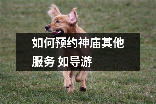 如何预约神庙其他服务 如导游 
