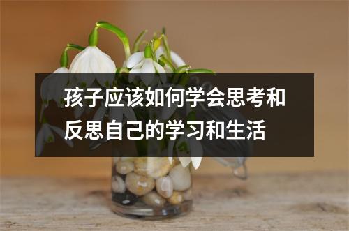 孩子应该如何学会思考和反思自己的学习和生活 