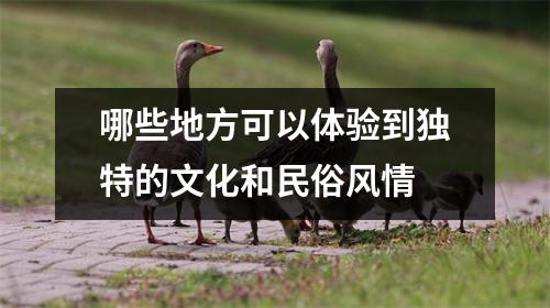 哪些地方可以体验到独特的文化和民俗风情 