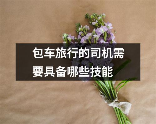 包车旅行的司机需要具备哪些技能