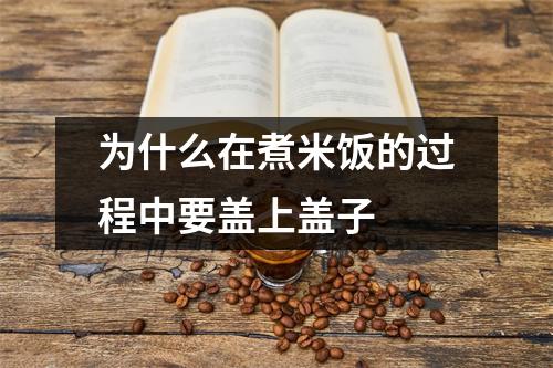 为什么在煮米饭的过程中要盖上盖子 