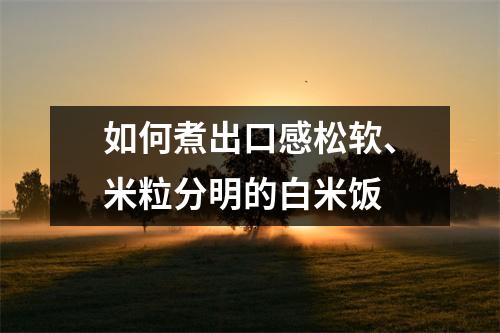 如何煮出口感松软、米粒分明的白米饭 