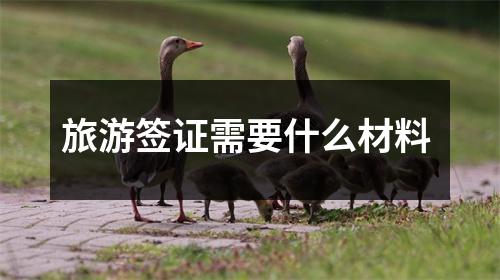旅游签证需要什么材料