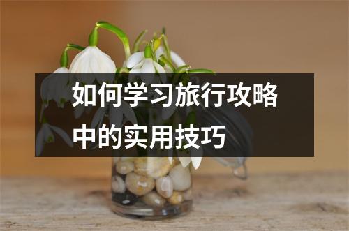 如何学习旅行攻略中的实用技巧