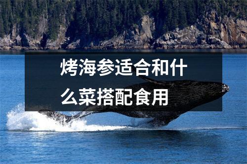 烤海参适合和什么菜搭配食用