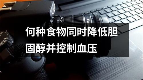 何种食物同时降低胆固醇并控制血压