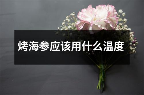 烤海参应该用什么温度