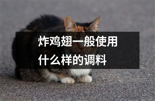 炸鸡翅一般使用什么样的调料