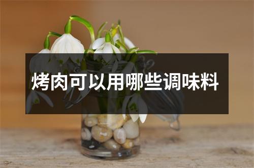 烤肉可以用哪些调味料