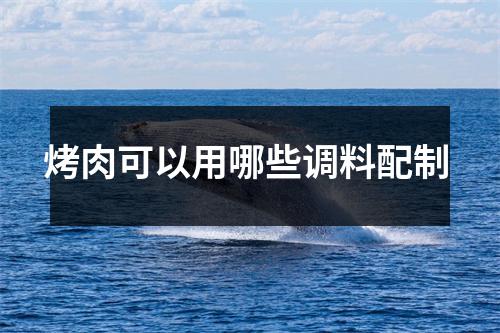 烤肉可以用哪些调料配制