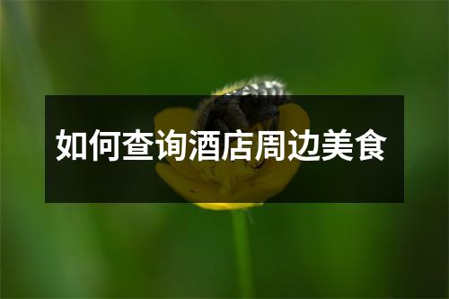 如何查询酒店周边美食