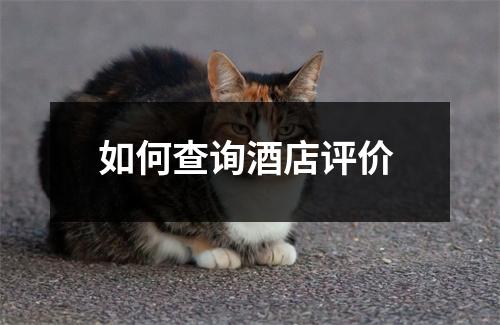 如何查询酒店评价