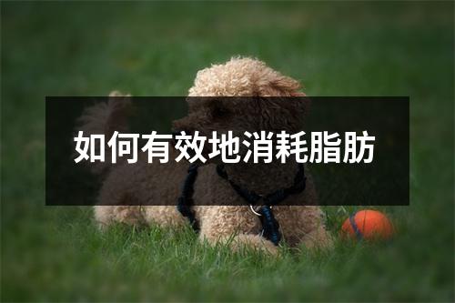 如何有效地消耗脂肪