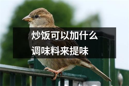 炒饭可以加什么调味料来提味