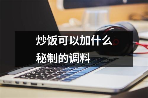 炒饭可以加什么秘制的调料
