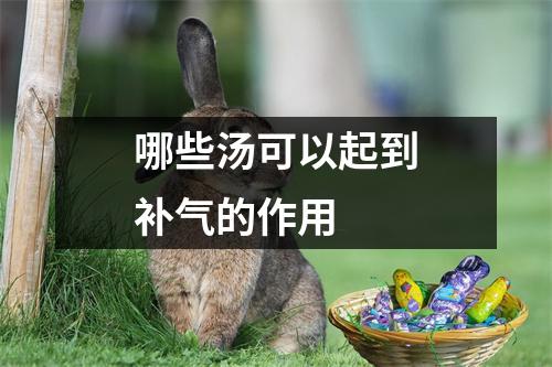 哪些汤可以起到补气的作用 