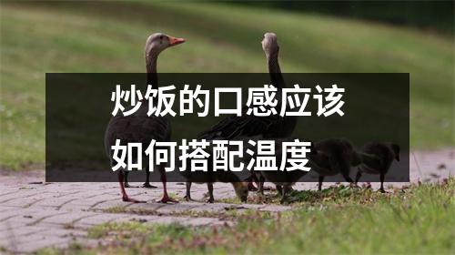 炒饭的口感应该如何搭配温度 