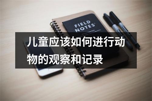 儿童应该如何进行动物的观察和记录 儿童应该如何进行动物的观察和记录