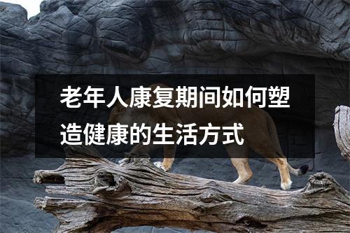 老年人康复期间如何塑造健康的生活方式 