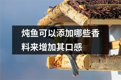 炖鱼可以添加哪些香料来增加其口感 炖鱼可以添加哪些香料来增加其口感