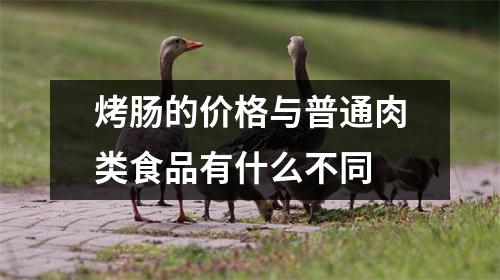 烤肠的价格与普通肉类食品有什么不同 