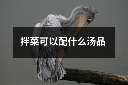 拌菜可以配什么汤品 