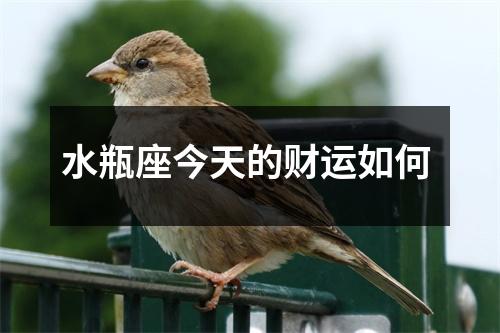 水瓶座今天的财运如何 