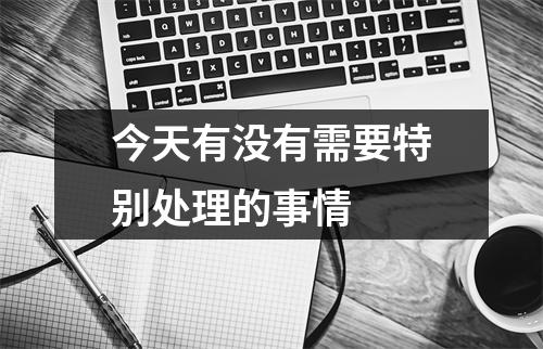 今天有没有需要特别处理的事情 