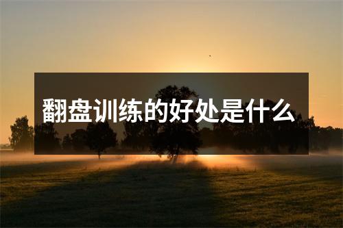 翻盘训练的好处是什么