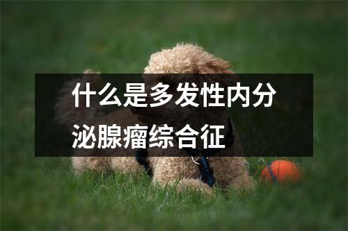 什么是多发性内分泌腺瘤综合征 