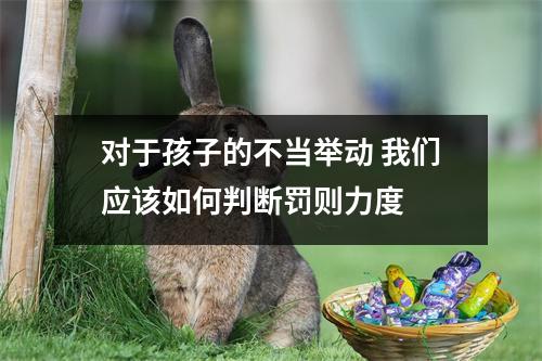 对于孩子的不当举动 我们应该如何判断罚则力度