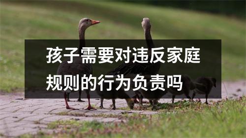 孩子需要对违反家庭规则的行为负责吗 