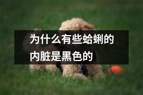 为什么有些蛤蜊的内脏是黑色的